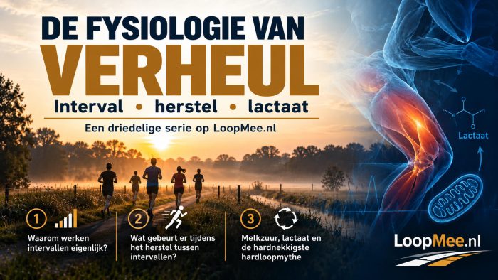 De fysiologie van Verheul